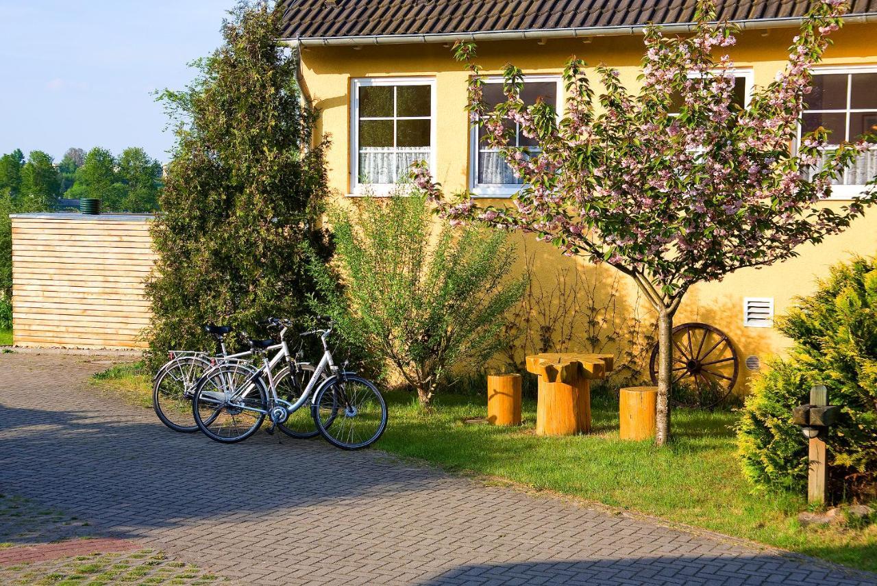 Hotel Am Mueritz-Nationalpark Waren  Zewnętrze zdjęcie